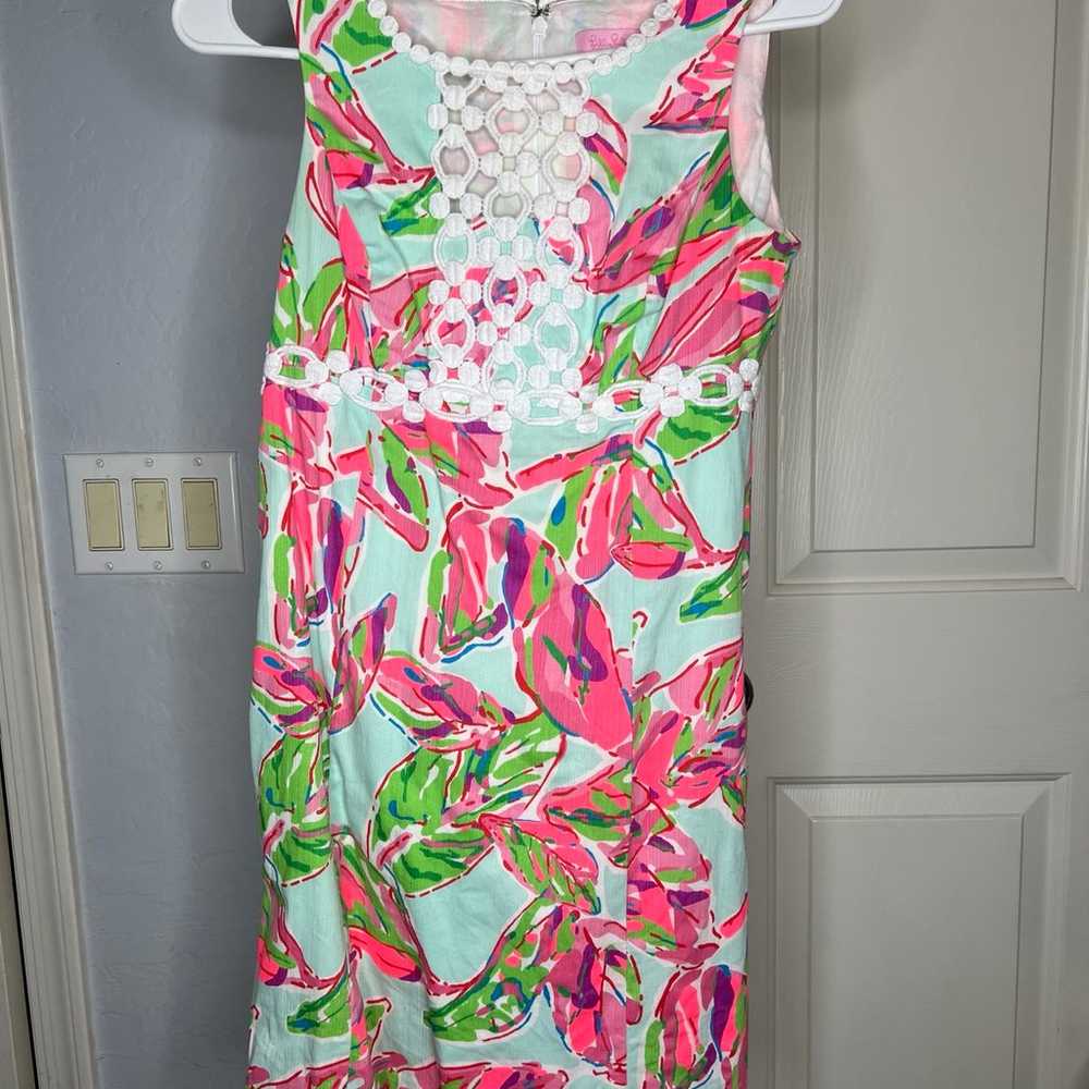 Lilly Pulitzer Multicolor Dress - image 1