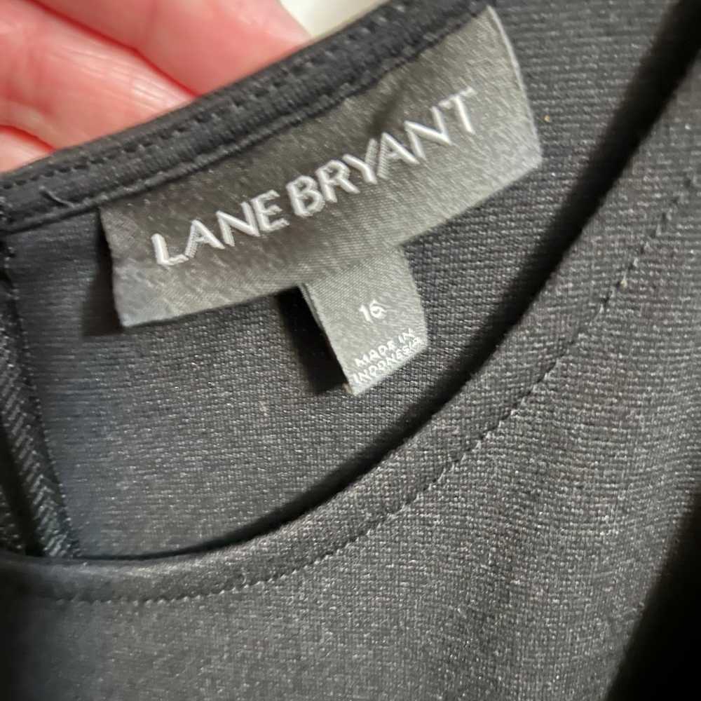 Lane Bryant Dress - image 3
