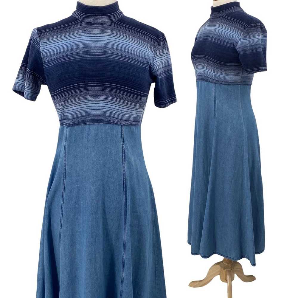 Vintage 70s Maxi Dress Fit & Flare Denim Stripe T… - image 1