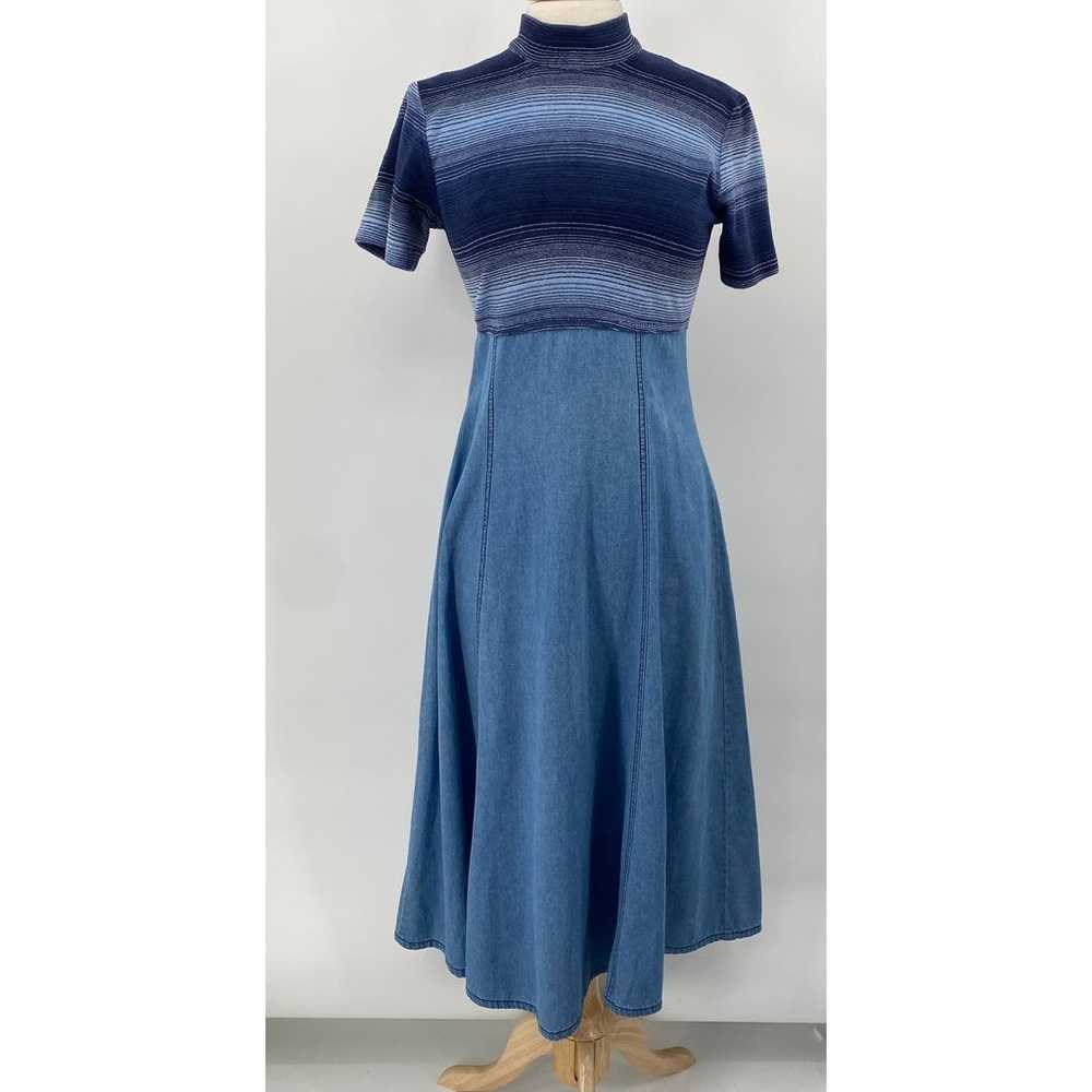 Vintage 70s Maxi Dress Fit & Flare Denim Stripe T… - image 2