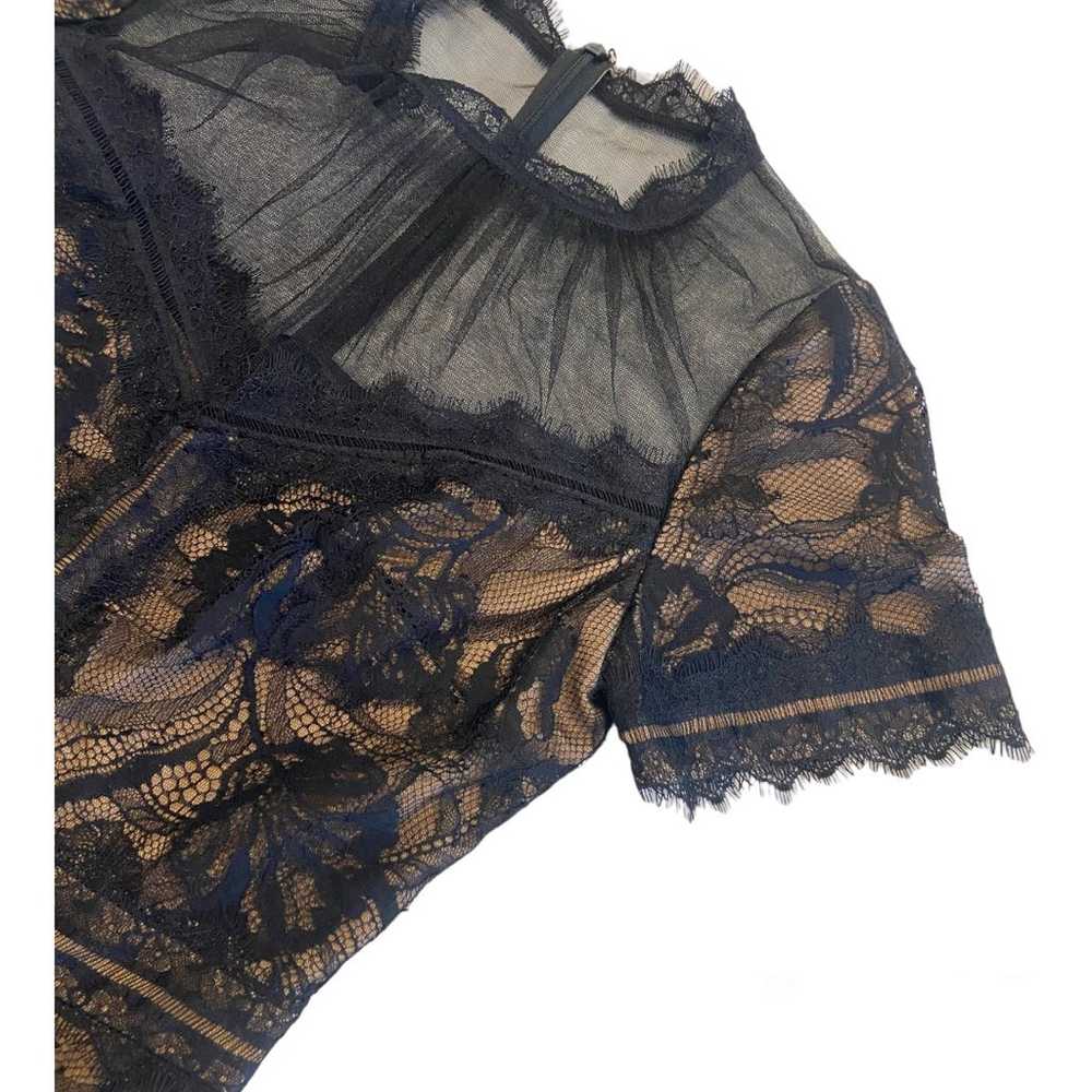 Tadashi Shoji Camilla Tea Length Sheer Lace Dress… - image 7