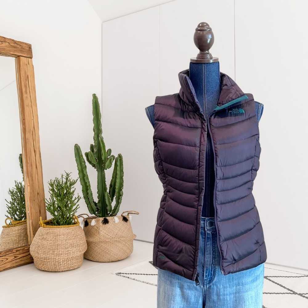 The North Face 550 Goose Down Puff Vest - image 1
