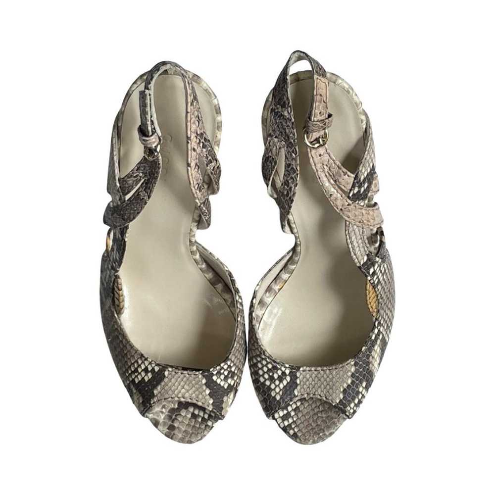 Gucci Python heels - image 10