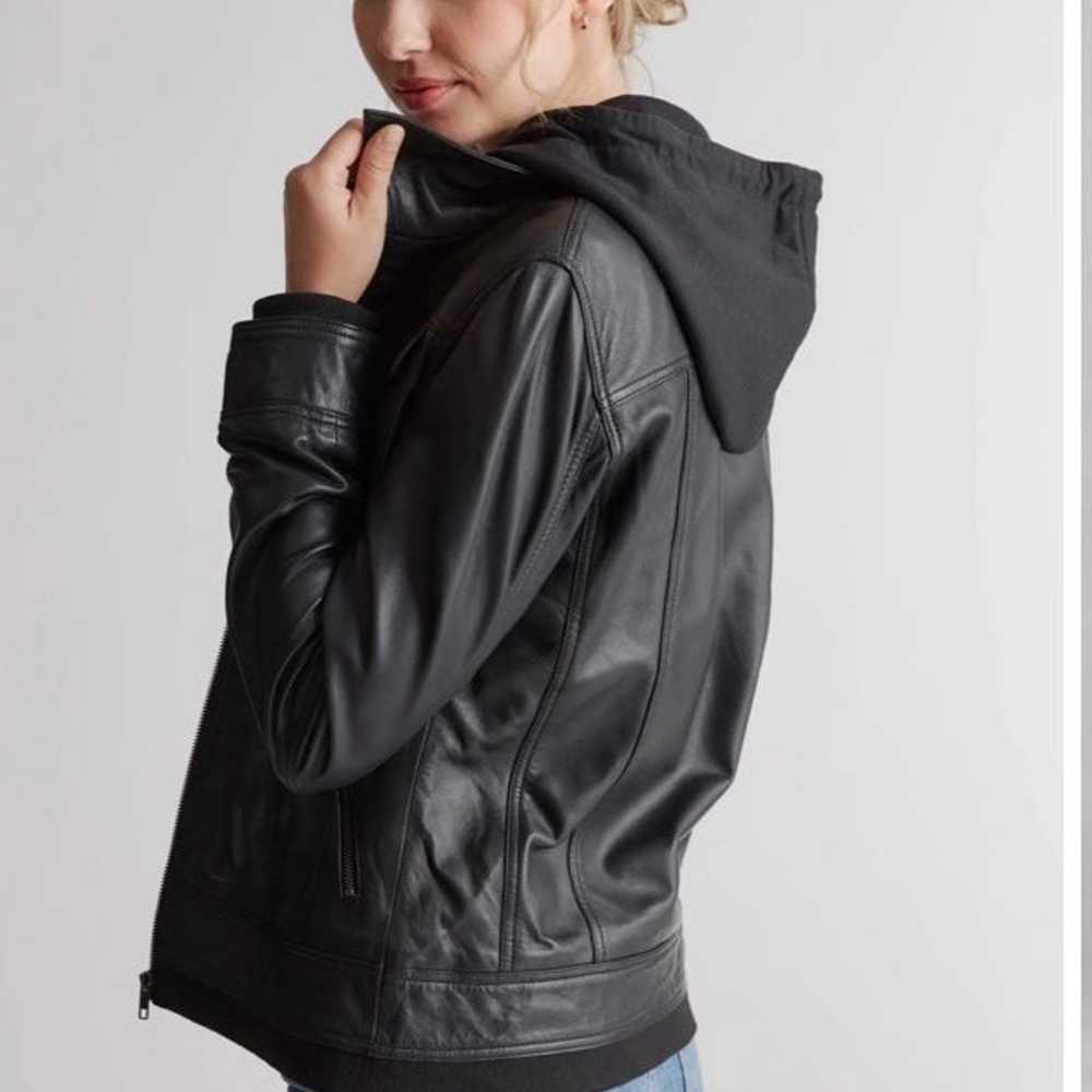 Quince 100% Leather Jacket with Hood black L - image 4