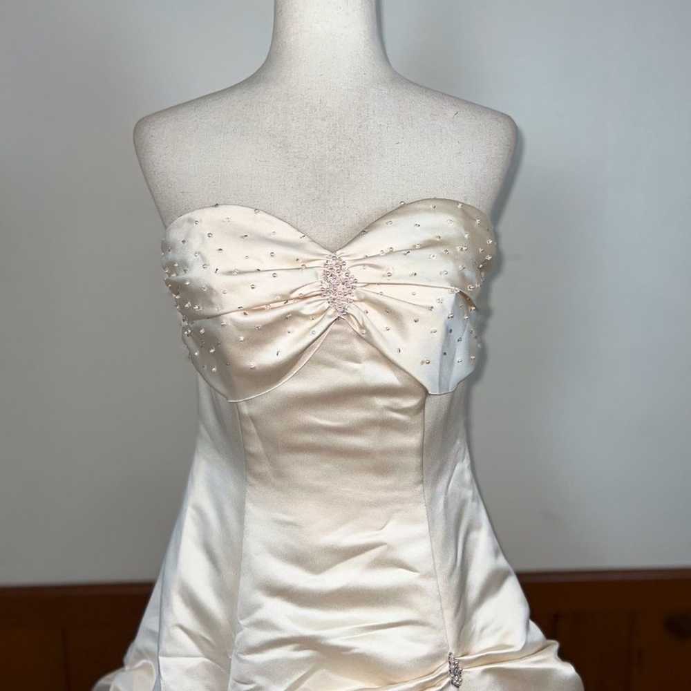 Beautiful Dineh’s Collection Pickup Skirt Wedding… - image 7