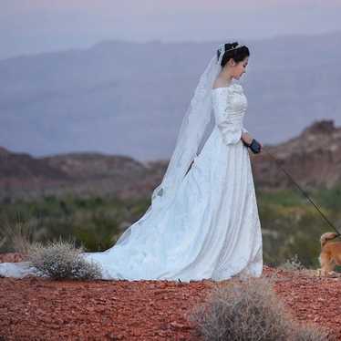 Wedding Dress + Veil + Crystal Crown