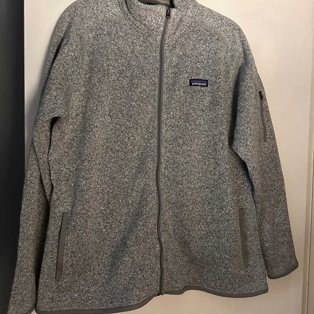 Patagonia Better Sweater Jacket in Birch White - image 1