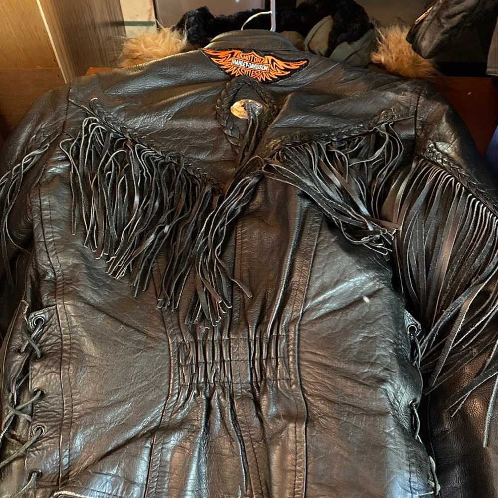 Harley-Davidson jacket - image 2