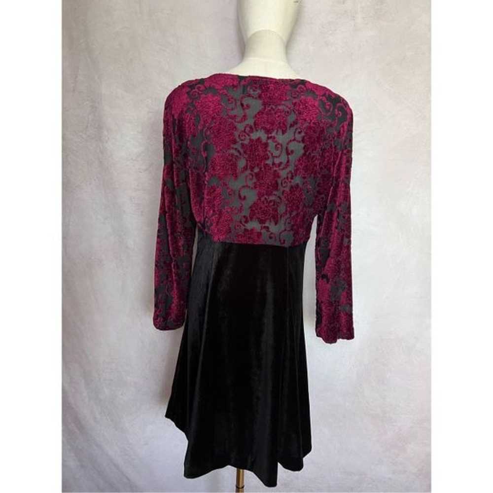 Vintage Whimsy Goth Velvet Dress - image 4