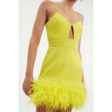 NWOT Rebecca Vallance Piero Feather Trim Cutout D… - image 1