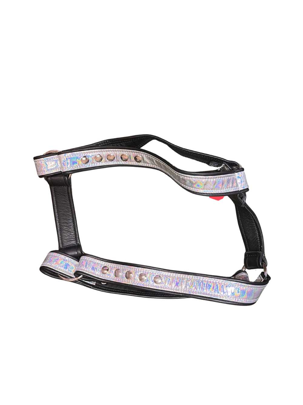 Raveival Holographic Rainbow Harness - image 1