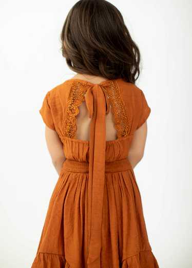 Joyfolie Briley Dress in Spice