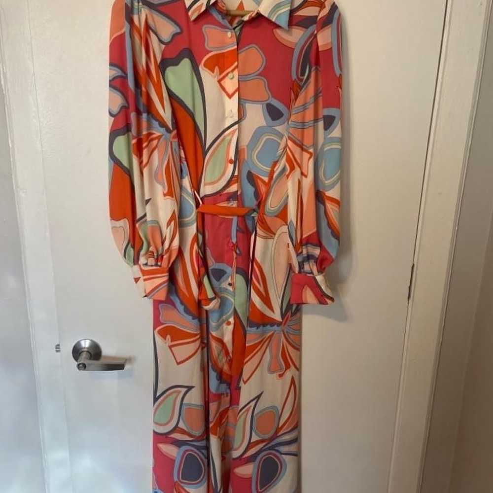 Alexis X Target Women 70s Inspired Maxi Floral Dr… - image 2