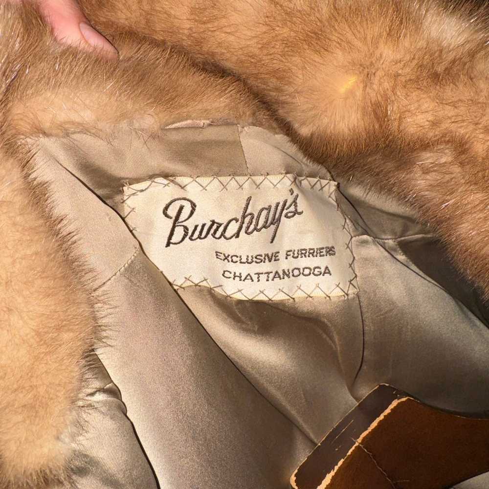 Burchay’s Mink Coat - image 5