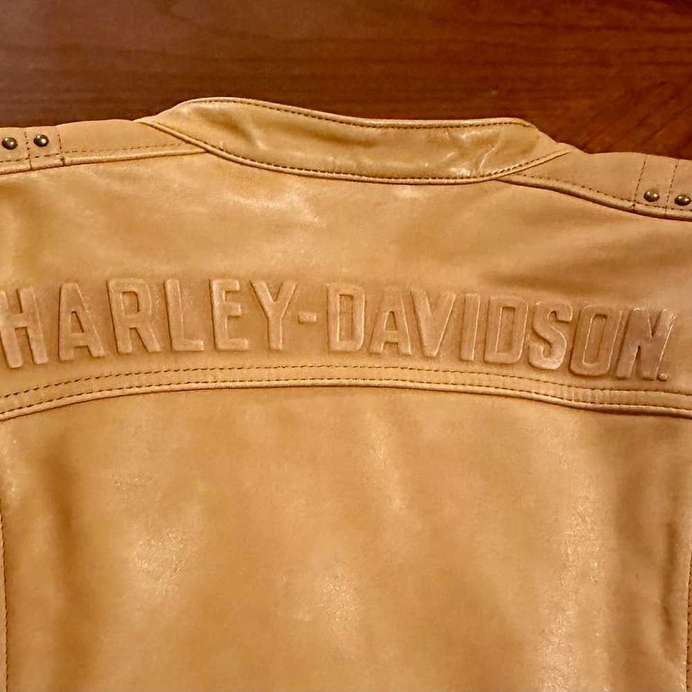 Harley Davidson Women’s Leather Jacket - image 5