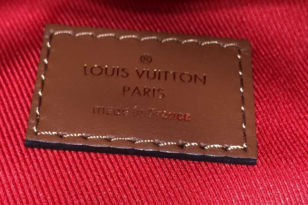 Louis Vuitton Bum Bag Monogram Giant Teddy Fleece - image 6