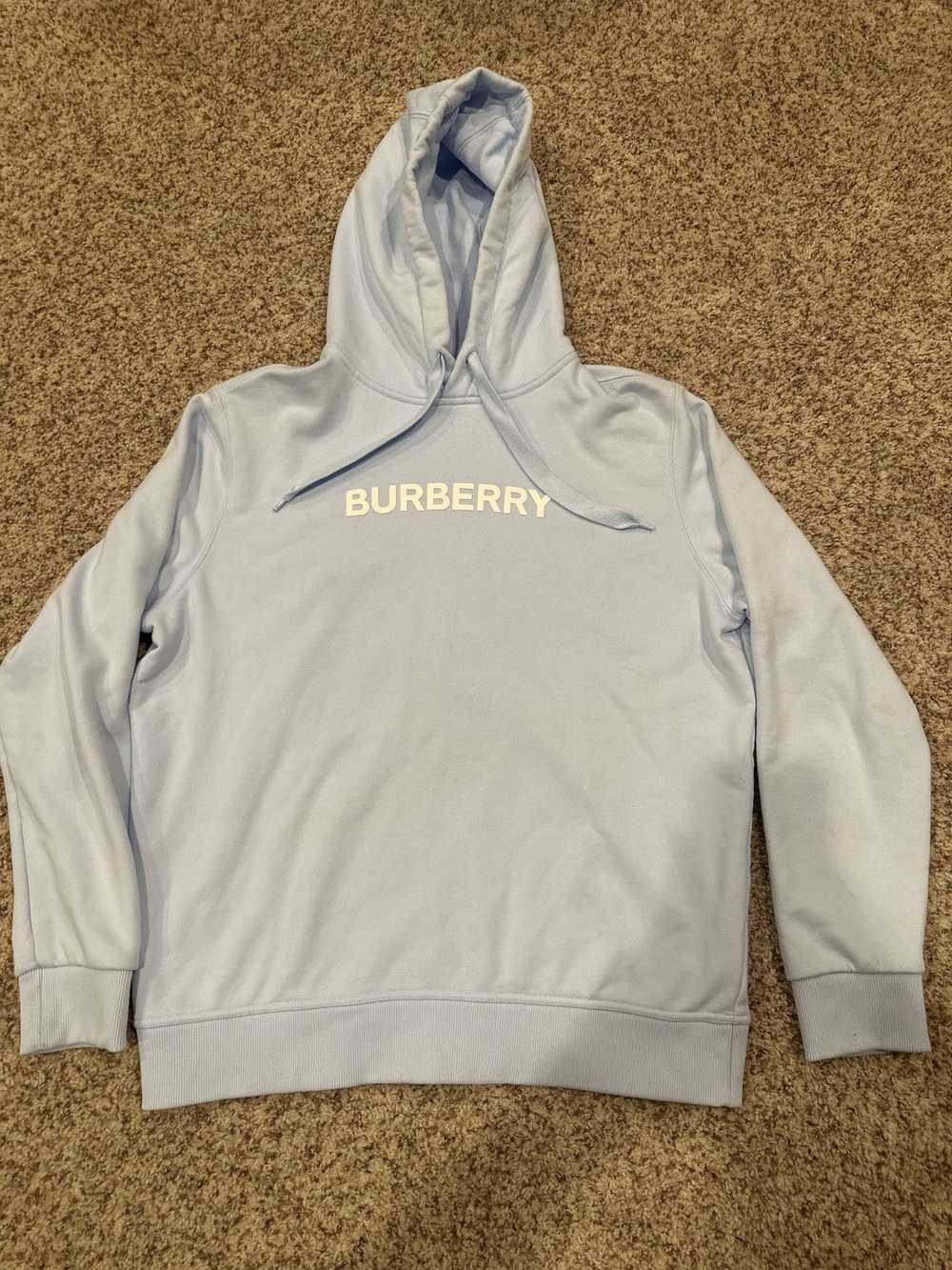 Burberry Burberry Hoodie - image 1