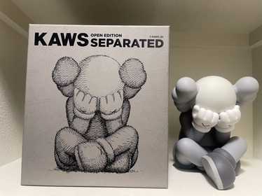 Kaws Kaws seperated - image 1