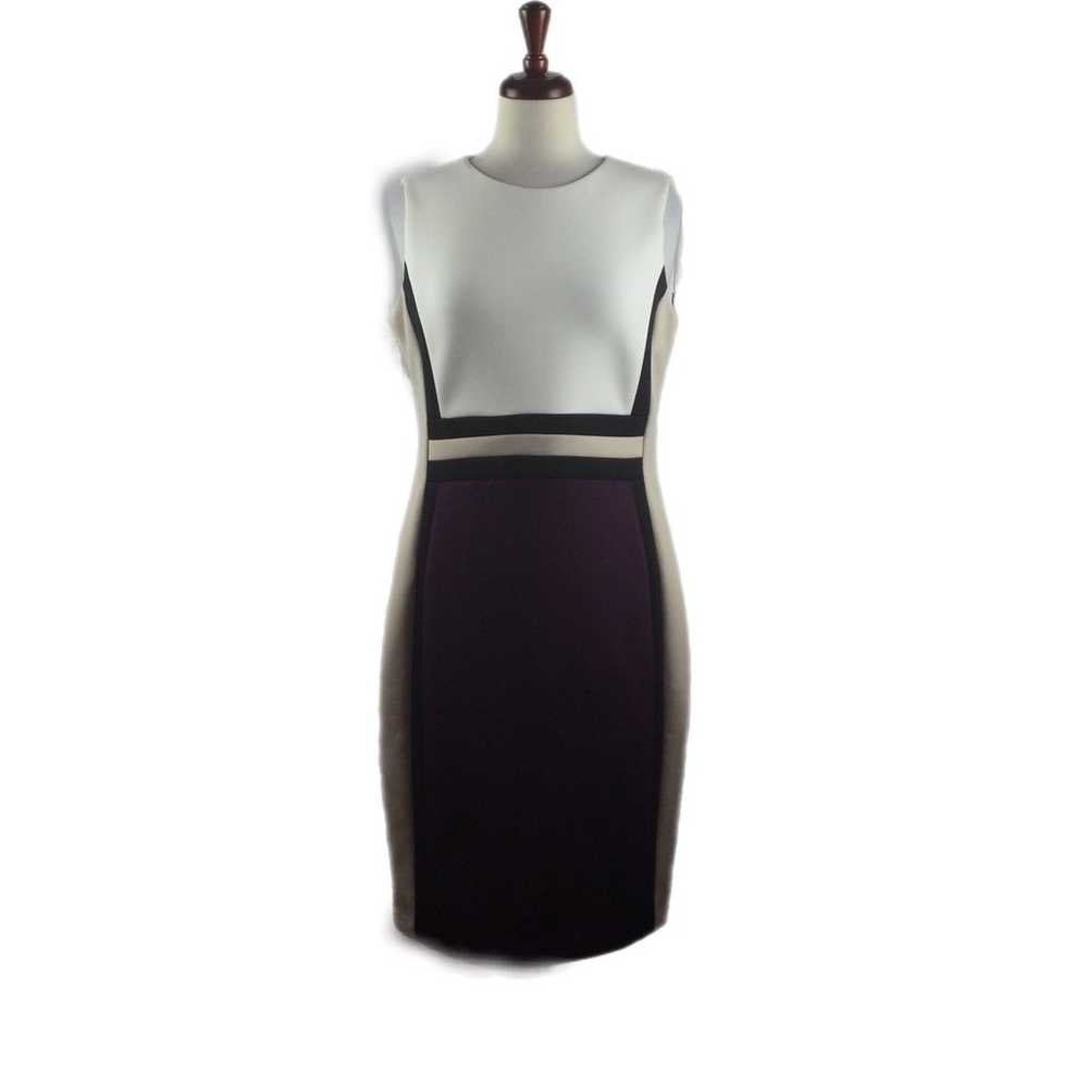 Calvin Klein Colorblock Dress - image 1