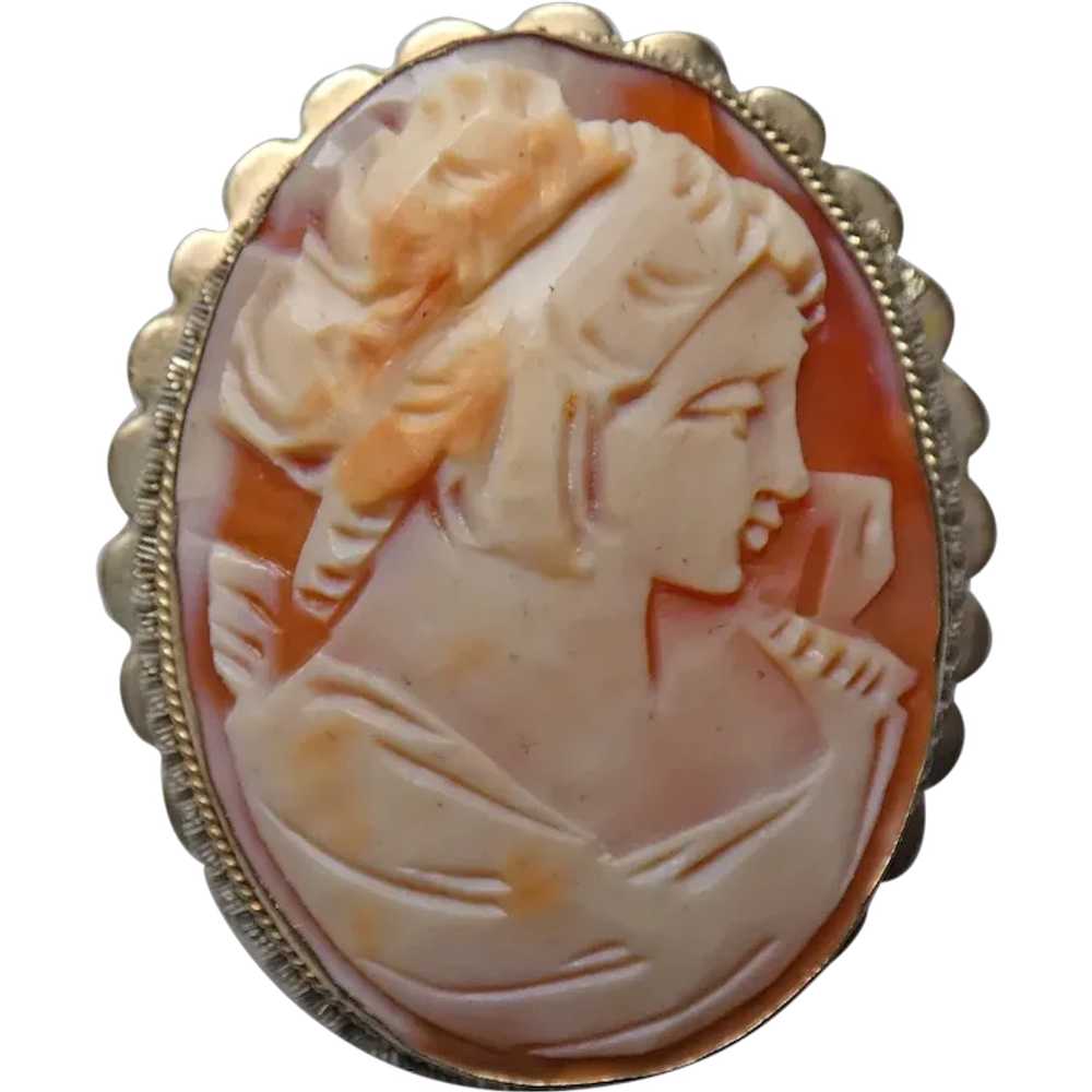 Hand Carved Shell Cameo Pin/Brooch - image 1