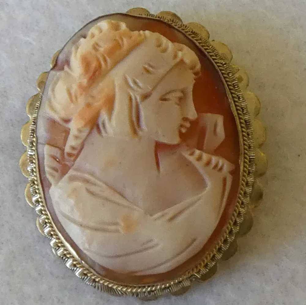 Hand Carved Shell Cameo Pin/Brooch - image 2