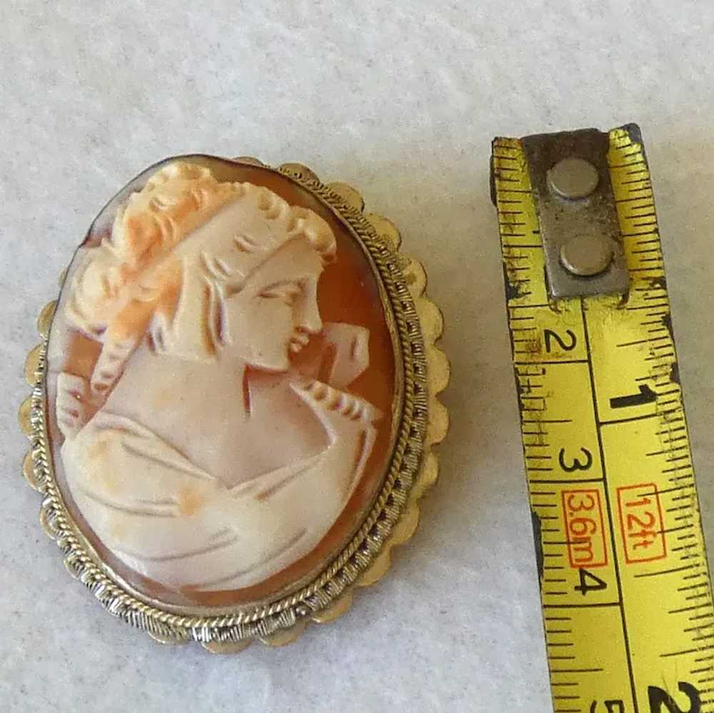 Hand Carved Shell Cameo Pin/Brooch - image 5