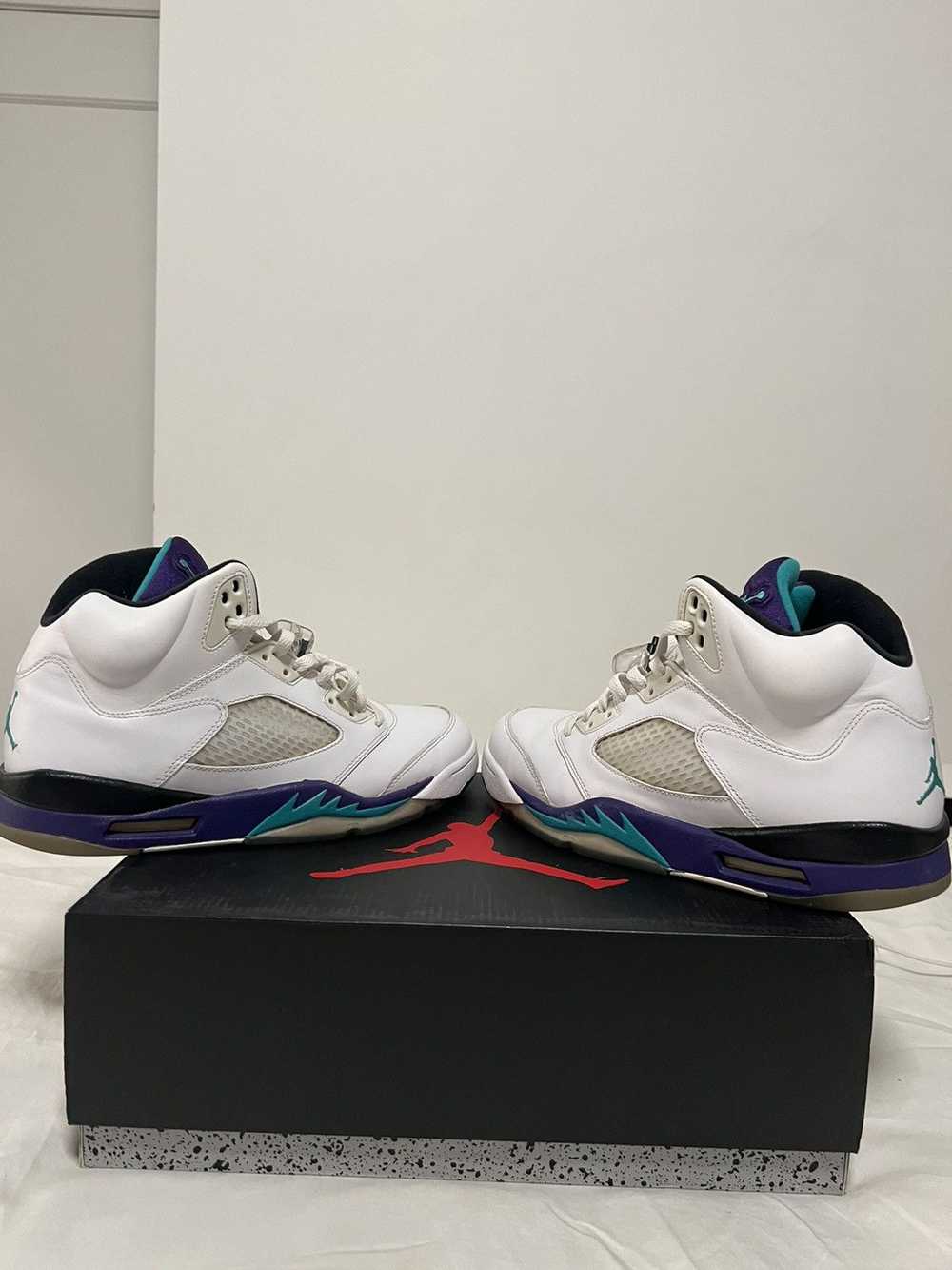 Jordan Brand Jordan 5 Retro Grape (2013) - image 1