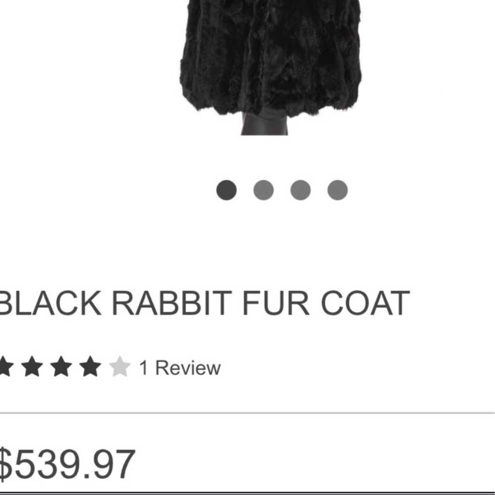 Rabbit Black Fur Coat - image 3