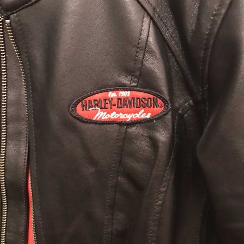 Harley Davidson Leather - image 3