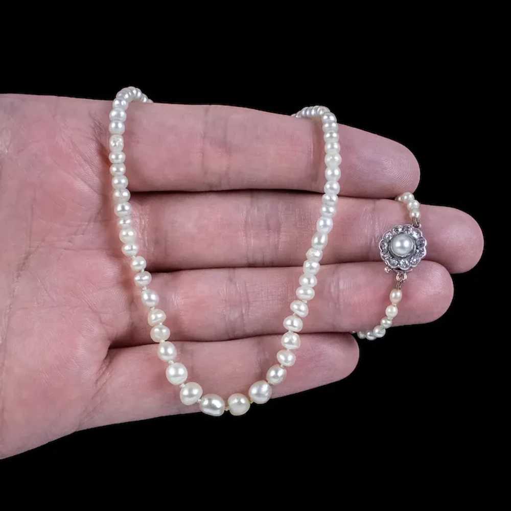 Antique Victorian Natural Baroque Pearl Necklace … - image 7