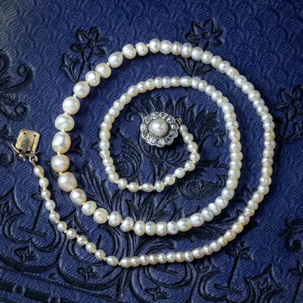 Antique Victorian Natural Baroque Pearl Necklace … - image 9