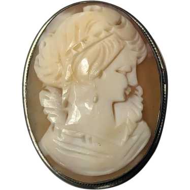 Vintage Silver Hand-Carved Shell Cameo Pendant/Br… - image 1