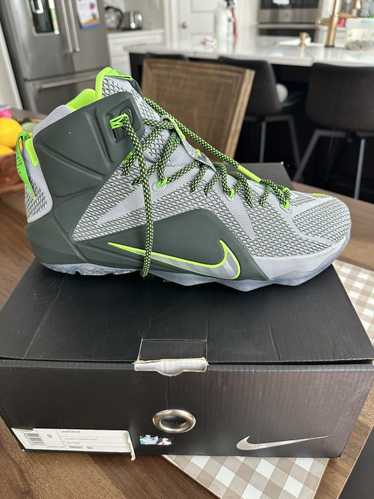 Nike Lebron 12 Dunk Force