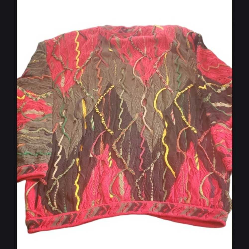 Vintage and Authentic Coogi Cardigan Sweater - image 5