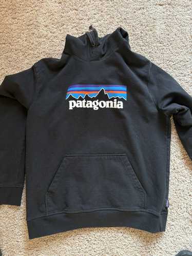 Patagonia Patagonia Hoodie Size Large