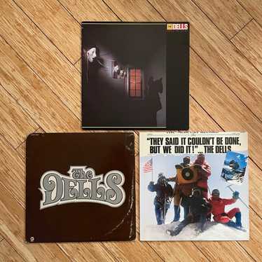 Blank Lot of (3) Dells LPs vintage vinyl records … - image 1