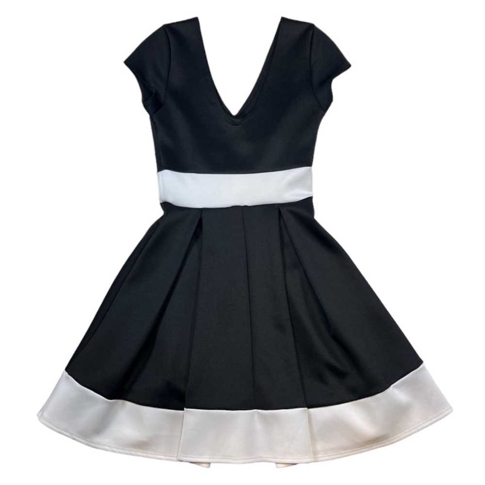 NBDN Nobrandedon Maru Dress: Black & White Skater… - image 2