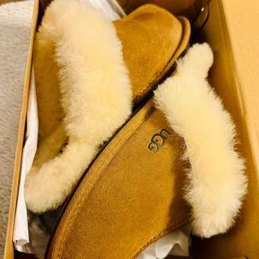 ugg scuffette II slippers