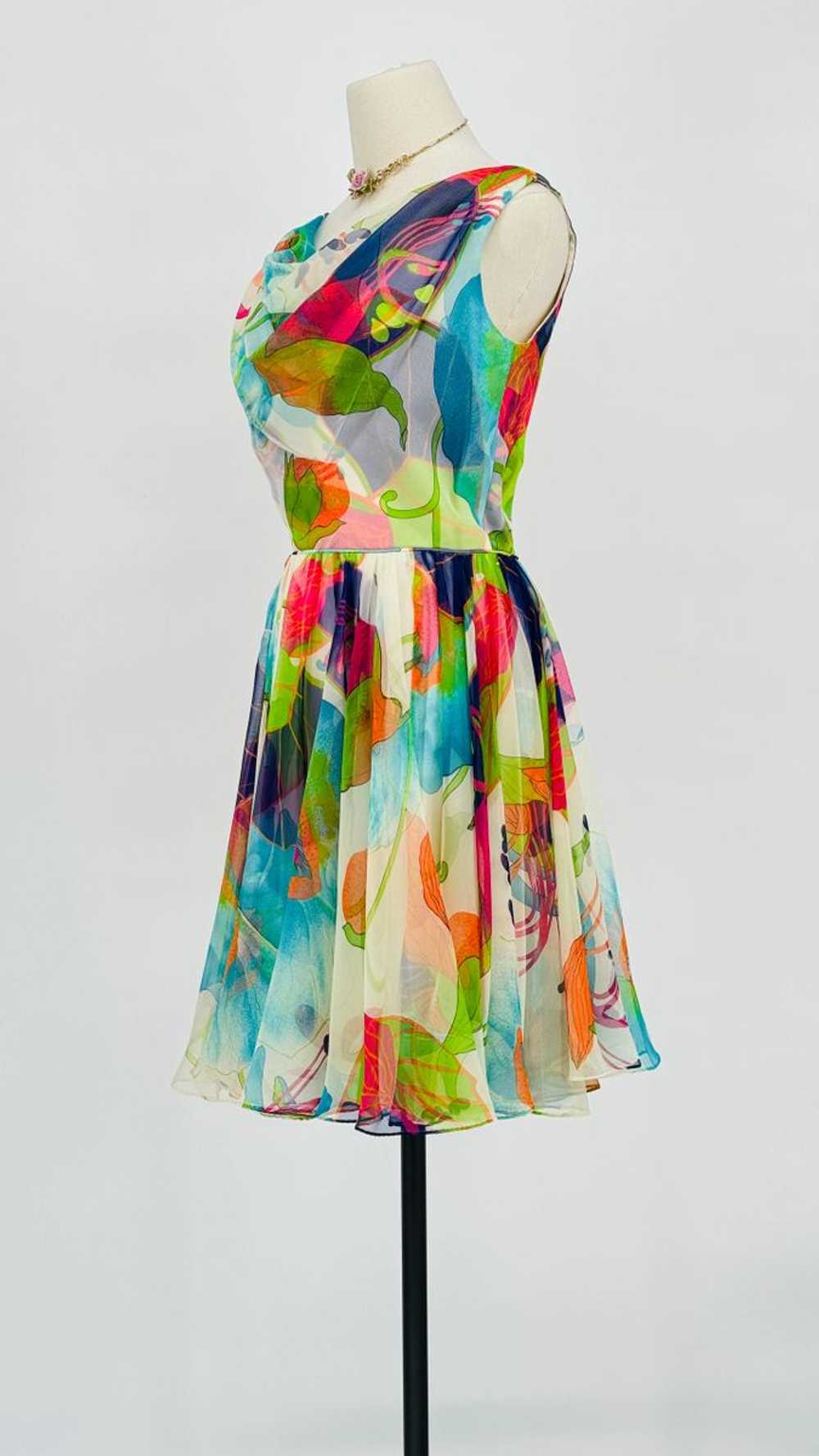 1970 Jack Bryan Strawberry Floral Chiffon Dress - image 3