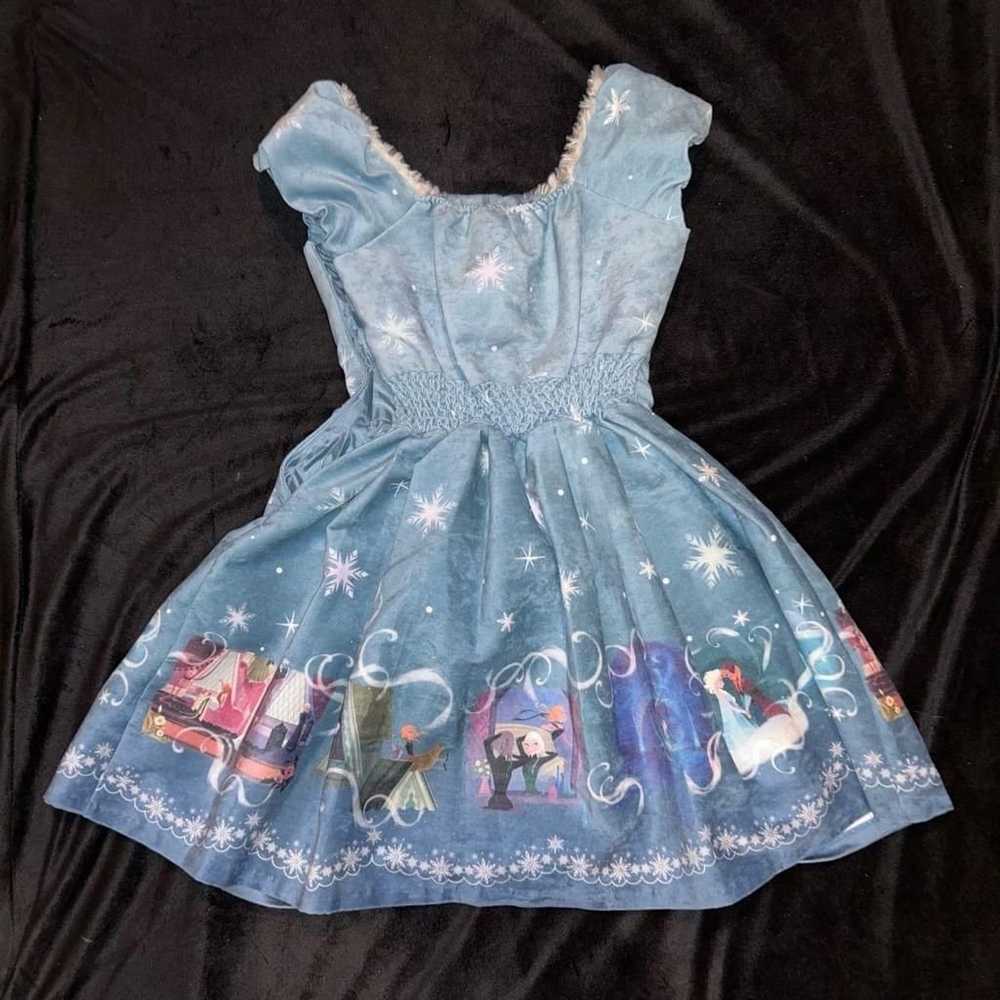 Disney Secret Honey Frozen Anna Elsa Adult Dress … - image 2