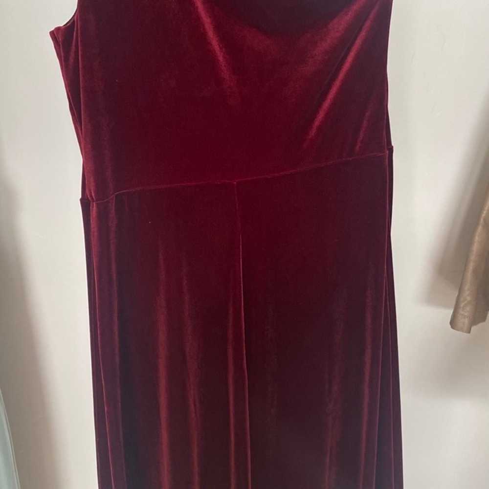 Velvet cabernet birdy grey floor length dress - image 4