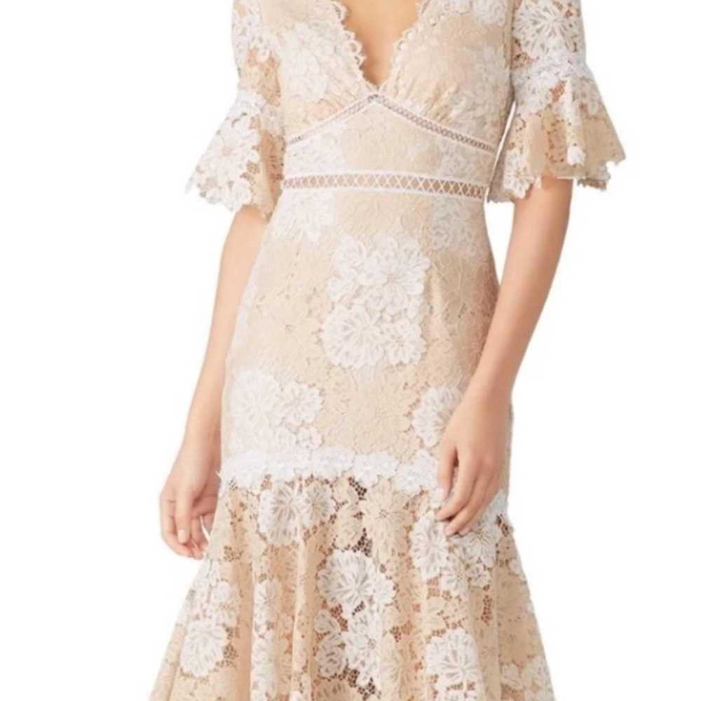 Saylor Ruffle Lace Maggy Midi Dress Ruffle Sleeve… - image 1