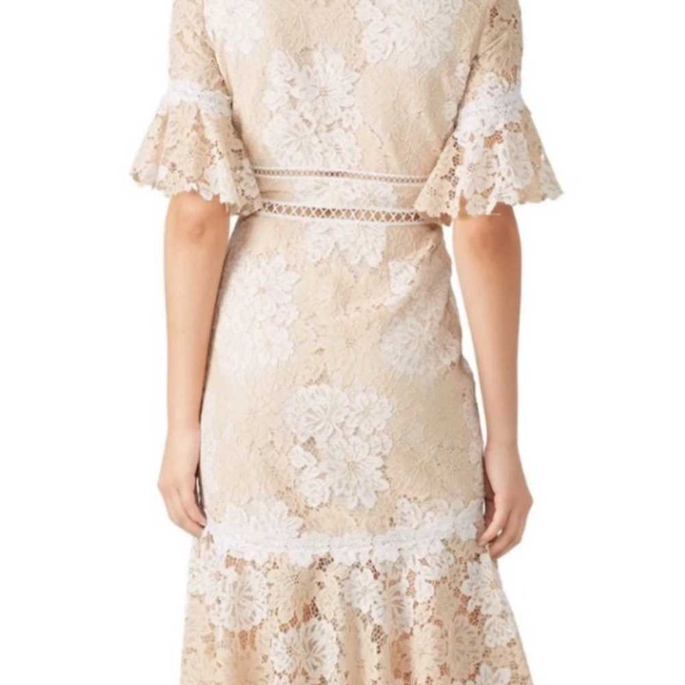 Saylor Ruffle Lace Maggy Midi Dress Ruffle Sleeve… - image 7