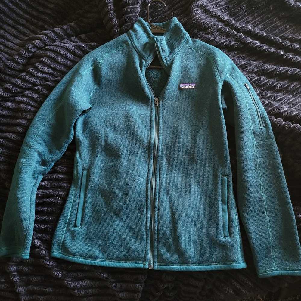 Patagonia Better Sweater Full Zip Fleece Jacket - image 1