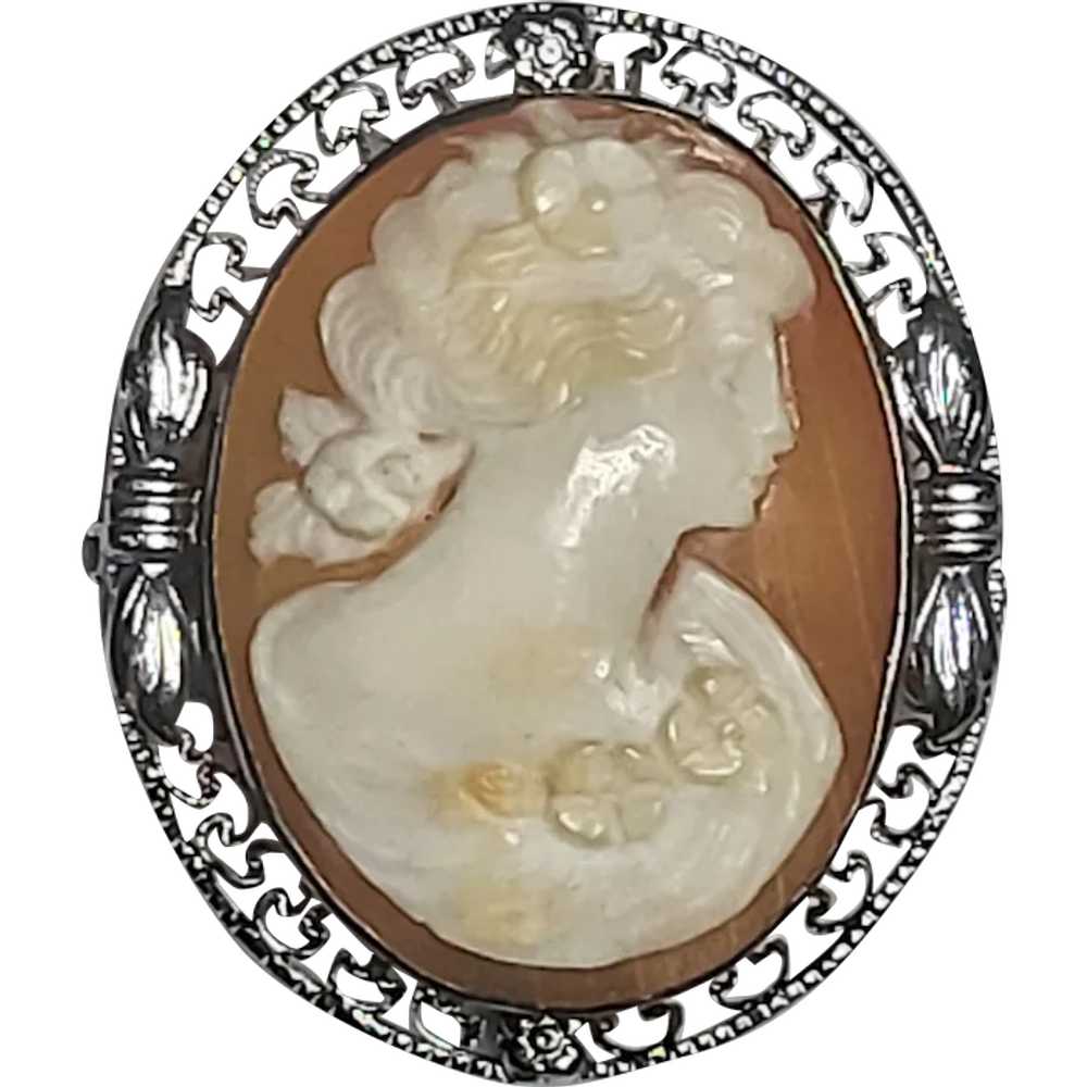 Vintage Hand-Carved Shell Filigree Cameo Pin/Broo… - image 1