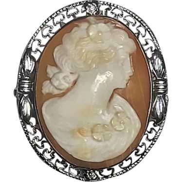 Vintage Hand-Carved Shell Filigree Cameo Pin/Brooc