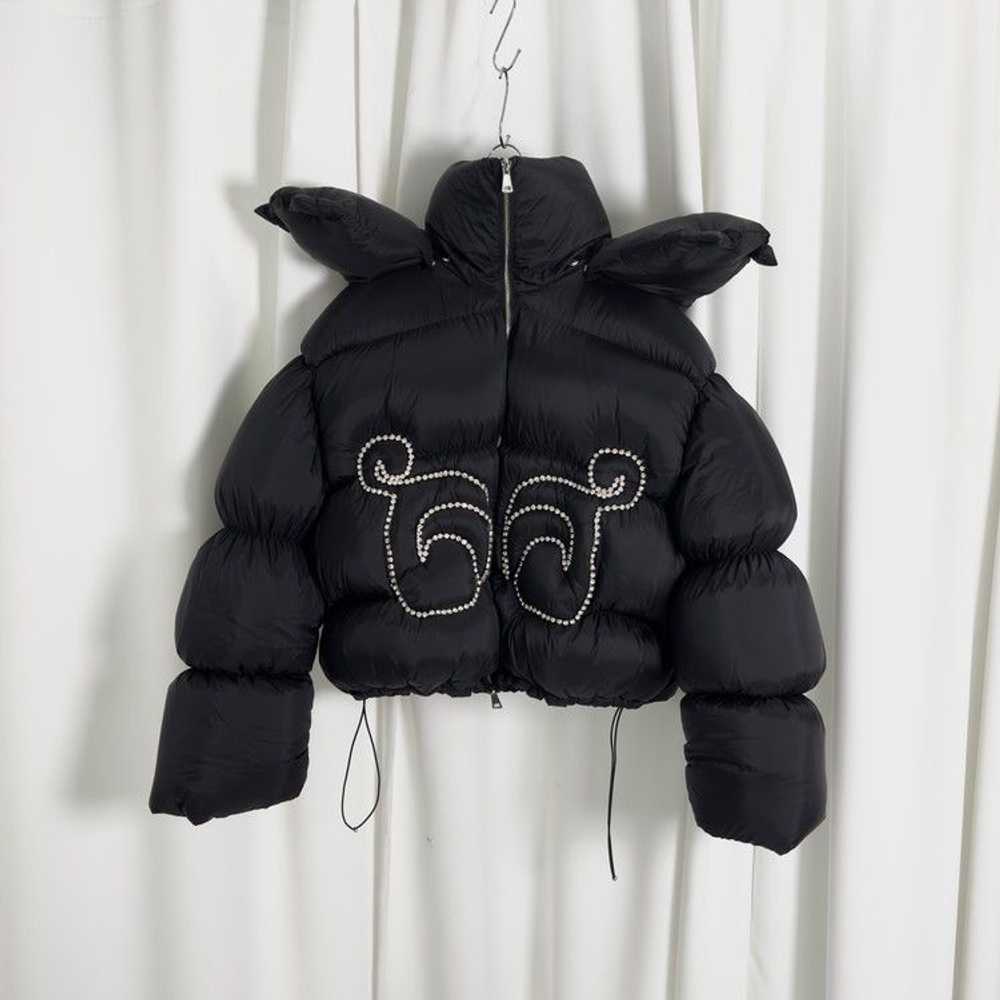 Area × Dingyun Zhang Area x Dingyun Zhang Crystal… - image 1