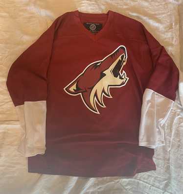 Hockey × NHL × Vintage Vintage NHL Arizona Coyote… - image 1