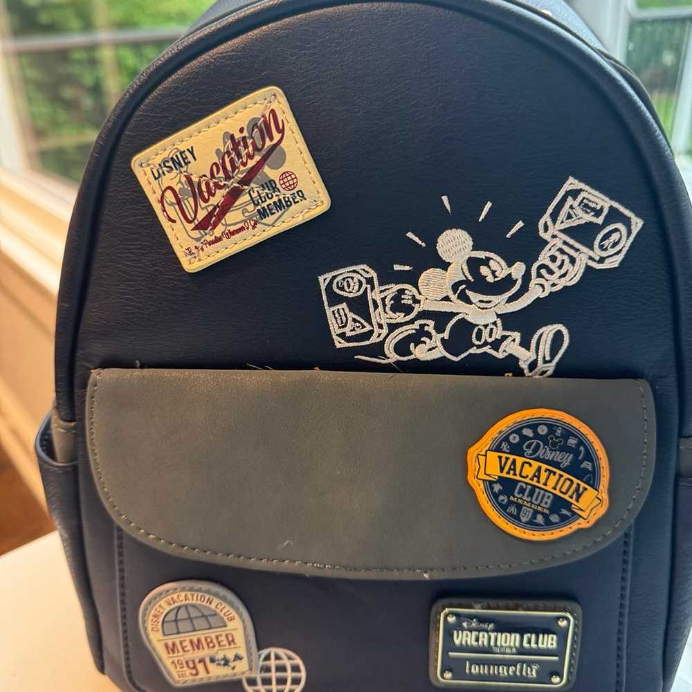 DVC Member Only Backpack and Ears - image 2