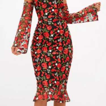 Multicolor mesh red rose floral embroidery dress